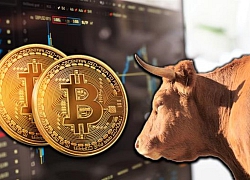 Thị trường tiền ảo dậy sóng, Bitcoin vượt ngưỡng 9.500 USD