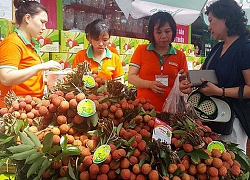 Hàng ngàn đặc sản có mặt tại phiên chợ nông sản, thực phẩm an toàn mở lại sau dịch Covid-19