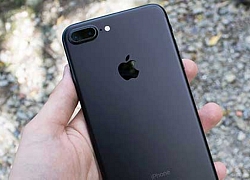 Không phải iPhone X, đây mới là chiếc iPhone "quốc dân" được nhiều người dùng Việt lựa chọn