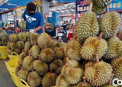 60 giây, 80.000 quả, nặng 200 tấn bán hết veo: 'Cơn nghiện' sầu riêng của người Trung Quốc giúp nông dân Thái Lan đổi đời, trả hết nợ, tậu xe hơi