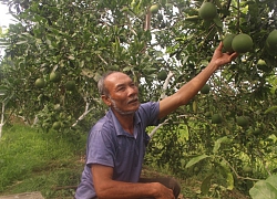 Bắc Ninh: Tăng kiểm tra giám sát, bảo vệ quyền lợi nông dân