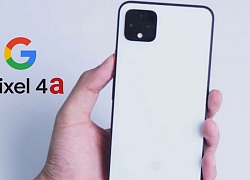 Các bức ảnh chụp thử cho thấy Google Pixel 4a có thể đánh bại iPhone SE như thế nào