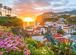 Chiêm ngưỡng vẻ đẹp đảo Madeira