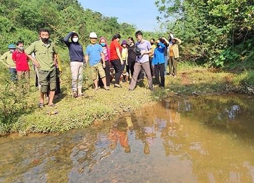 Đi tắm suối cùng hai anh trai, bé 3 tuổi bị đuối nước thương tâm