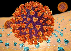 Thuốc ung thư thử nghiệm ngăn chặn virus corona nhân lên trong cơ thể