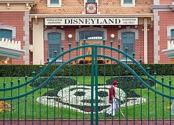 Disney đối mặt rủi ro vì dịch bệnh Covid-19 nhưng không ai nói chán thiên đường giải trí