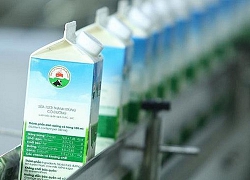 Lợi nhuận sau thuế quý I/2020 tăng gấp 2,3 lần, GTNFoods (GTN) vẫn lỗ lũy kế hơn 195 tỷ đồng