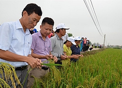 Nhiều triệu phú ra đời từ mô hình trình diễn điểm