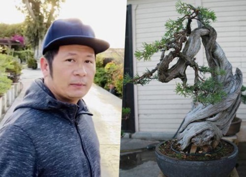 Bằng Kiều cắt tỉa và tạo dáng vườn cây cảnh bonsai đồ sộ ở Mỹ