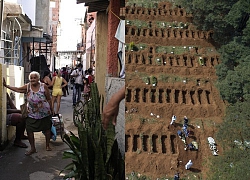 Brazil chao đảo trong &#8216;bão&#8217; Covid-19