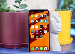 Camera trước iPhone 11 bị đánh giá kém hơn Galaxy S10, Mate 30