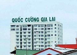 Công ty Quốc Cường Gia Lai mượn thêm bà Như Loan 69 tỷ đồng