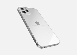 Diện mạo siêu ấn tượng của iPhone 12 Plus lần đầu tiên được hé lộ