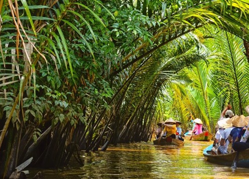 Du lịch Cà Mau, Bạc Liêu, Bến Tre đang dần hoạt động trở lại