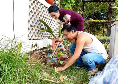 Giàu có hàng đầu showbiz Việt nhưng vợ chồng Trịnh Kim Chi cũng đích thân cuốc đất, trồng cây