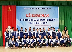 Nghệ An: Không tổ chức kỳ thi học sinh giỏi cấp tỉnh