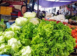 Nguồn cung dồi dào, giá rau xanh bất ngờ "rẻ như cho"