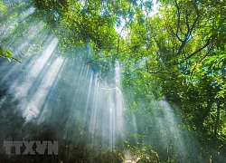 Ninh Bình: Khám phá vẻ đẹp di tích lịch sử động Trà Tu