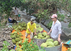 Nông dân Trung Quốc 'ăn nên làm ra' nhờ lên mạng bán nông sản