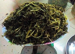 Ở nhà trông con nhỏ, mẹ bỉm sữa làm rau sắn muối chua dân dã 45 ngàn đồng/kg cũng bán được cả vài chục kg/ngày vì lạ miệng