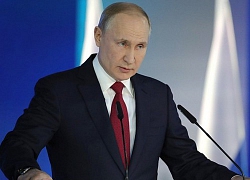 Putin phản ứng cực gắt về cáo buộc Liên Xô chuẩn bị và kích động Thế chiến II