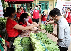 Thủ tướng yêu cầu Hà Nội khẩn trương xây dựng các kịch bản phát triển