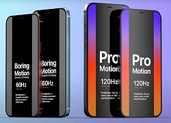 Đây là điều giúp iPhone 12 Pro ưu tú hơn "đàn em"