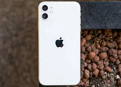 iPhone 11 làm được điều khó tin giữa mùa dịch Covid-19