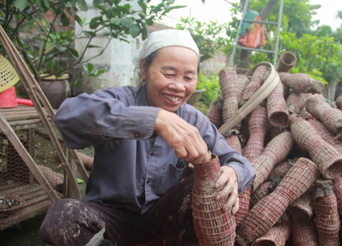 Quảng Ninh: Cả làng giàu có nhờ bắt con bò ngang, nhát chết