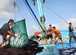 Trung Quốc thông báo tạm ngừng đánh cá trên Biển Đông: Tuyên bố không có giá trị