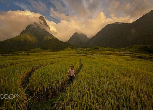 Việt Nam đẹp thơ mộng qua ống kính nhiếp ảnh gia Thái Lan