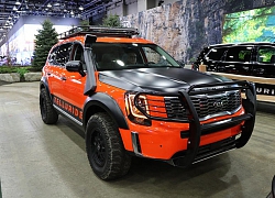 Bán bia kèm lạc, Kia Telluride vẫn cháy hàng, hãng chơi lớn thêm bản hiệu suất cao?
