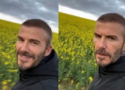 Beckham gây sốt khi 'mọc tóc' trở lại ngoạn mục