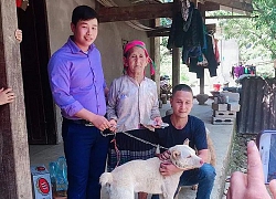 Nam thanh niên vượt 140km tặng lại cụ bà H'Mông chú chó đã mua: 'Ngày mai cụ có bán cho ai nữa thì cũng là quyền của cụ'