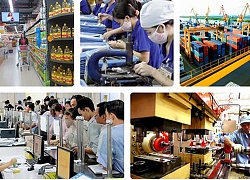 Cắt giảm, đơn giản hóa quy định liên quan hoạt động kinh doanh