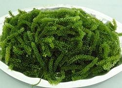 Đừng vội ăn rong biển nếu bạn chưa biết thông tin này