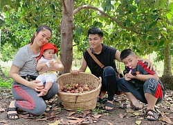 Gia đình Lê Phương đi hái trái cây