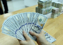 Giá USD hôm nay 14/5