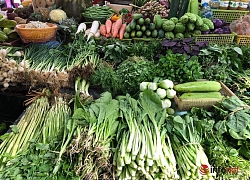 Giá xăng giảm mạnh ngang với nước khoáng, giá hàng hoá, vận tải vẫn đứng im