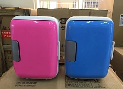 Góc tư vấn: Khi nào thì bạn nên dùng tủ lạnh mini để đựng mỹ phẩm và những lưu ý cần thiết khi sử dụng