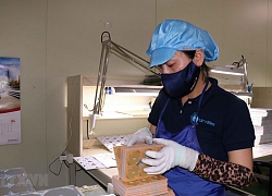 Hỗ trợ các doanh nghiệp vừa và nhỏ phục hồi sản xuất kinh doanh