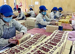 Lâm Nông sản Thực phẩm Yên Bái chốt trả cổ tức tỷ lệ 35%