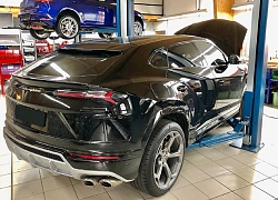 Lamborghini Urus bản độ hypercar mạnh 1.000 mã lực