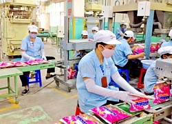 Lix tạm ứng cổ tức tiền mặt tỷ lệ 5%