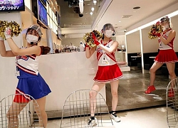 Nhà hàng ở Tokyo cho nhân viên phục vụ làm hoạt náo viên để thu hút khách hàng