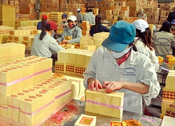 Nông sản thực phẩm Yên Bái (CAP) trả cổ tức 35% bằng tiền mặt
