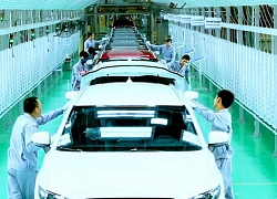 Phần mềm rà soát quy định kinh doanh triển khai trong tháng 5/2020