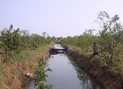 Tiền Giang chủ động phòng, chống hạn, mặn