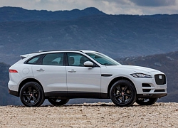 Bảng giá xe Jaguar tháng 5/2020: Rẻ nhất 2,699 tỷ đồng