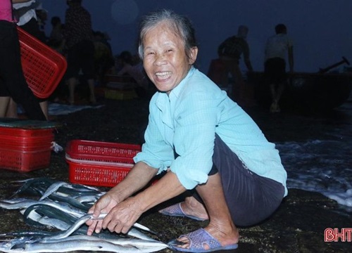 Về Hà Tĩnh "soi đèn" đi chợ cá, ngắm bình minh